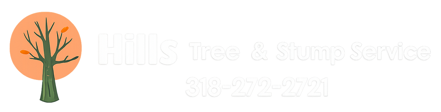 Chatgpt Image Feb 17, 2026, 10 45 35 Am