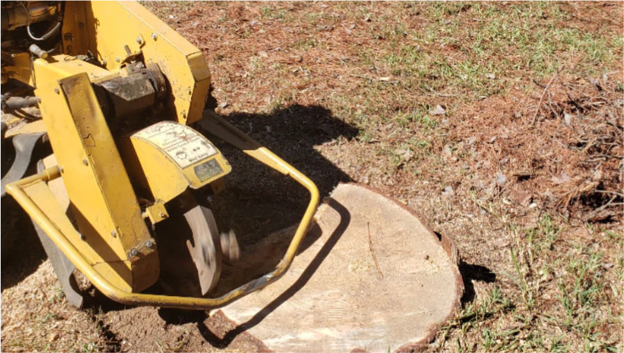 Stump Grinding
